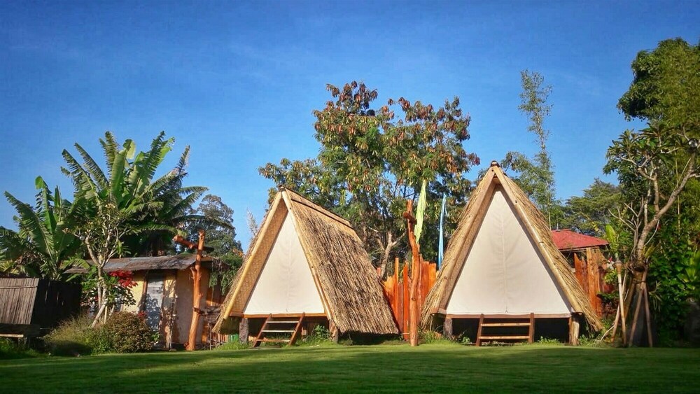 Rustic Glamping at Njung Bali Camp, Kintamani: Room Prices & Reviews