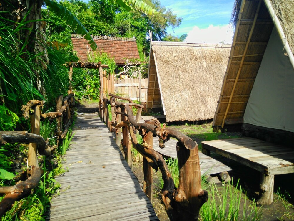 Rustic Glamping at Njung Bali Camp, Kintamani: Room Prices & Reviews