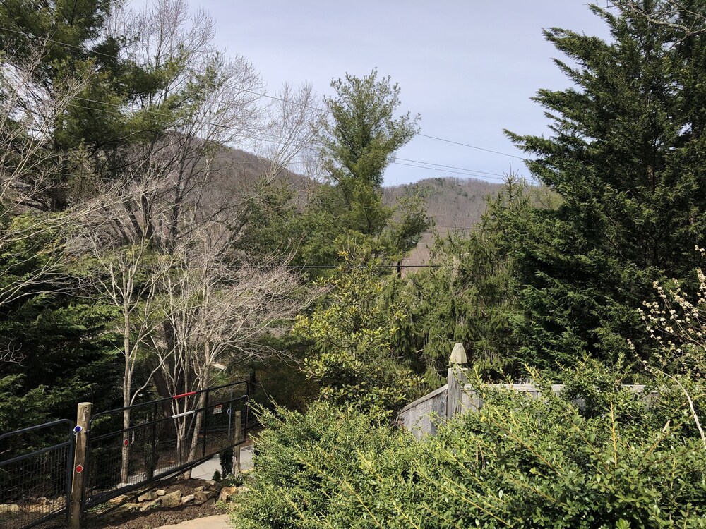 Romantic , 5 miles to downtown Asheville, Private, Hot Tub, Fireplace, Fenced