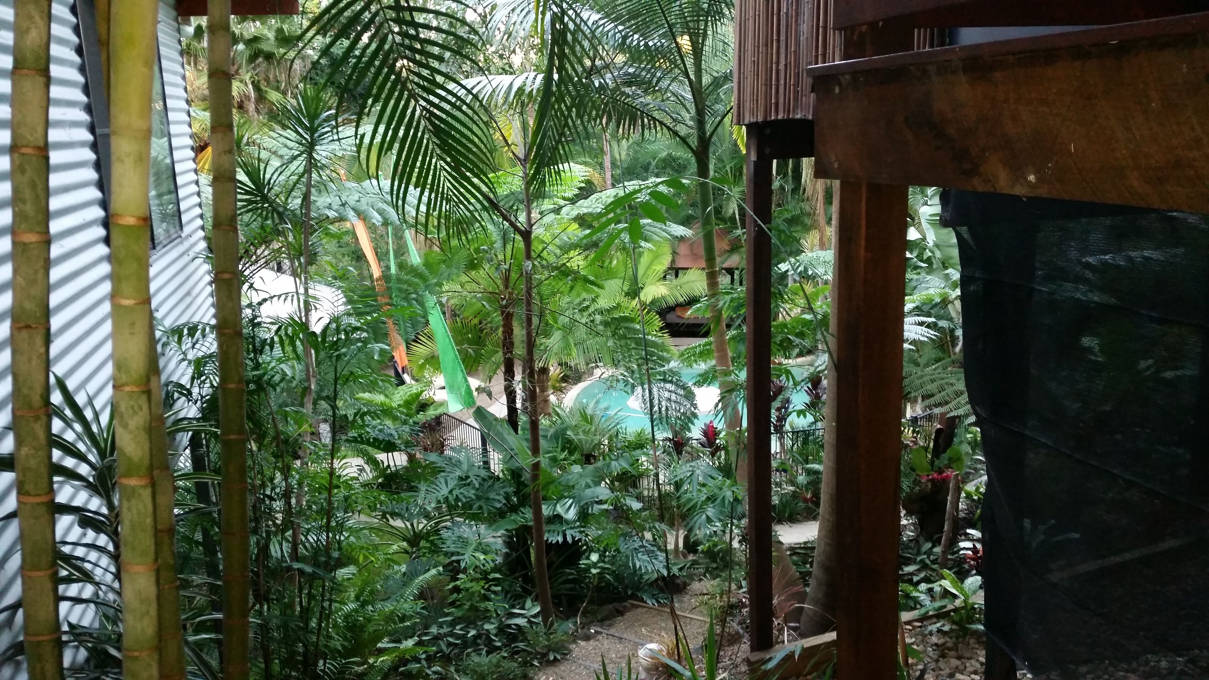 Bali on the Sunshine Coast - Come and Feel the Difference!