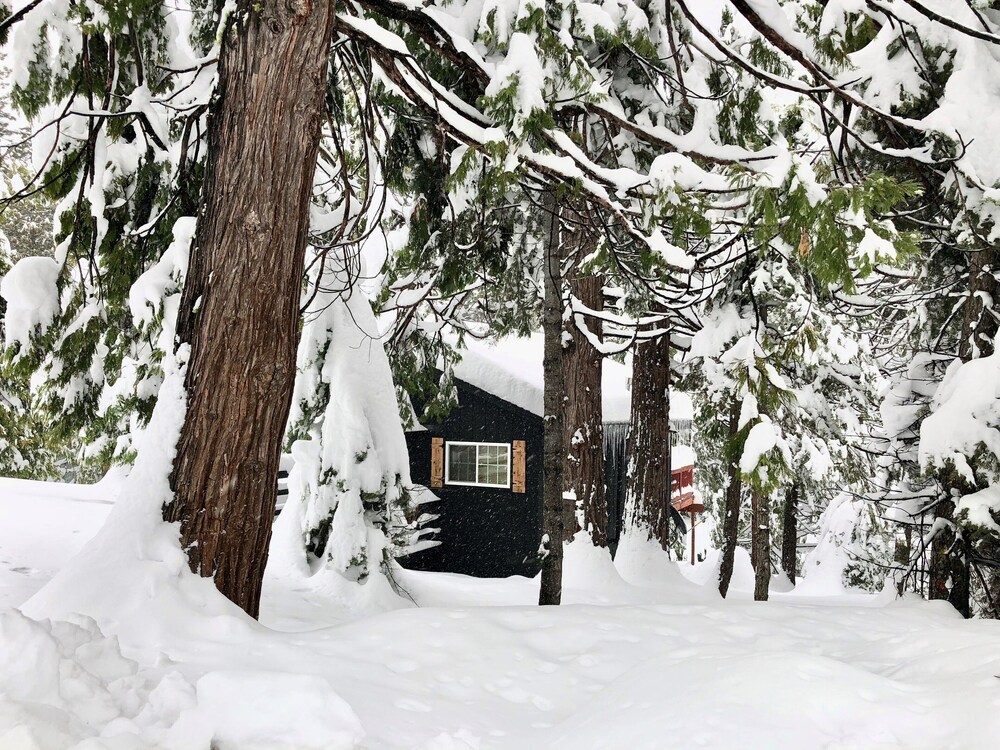 Within Minutes Of Pinecrest Lake And Dodge Ridge Ski Resort In
