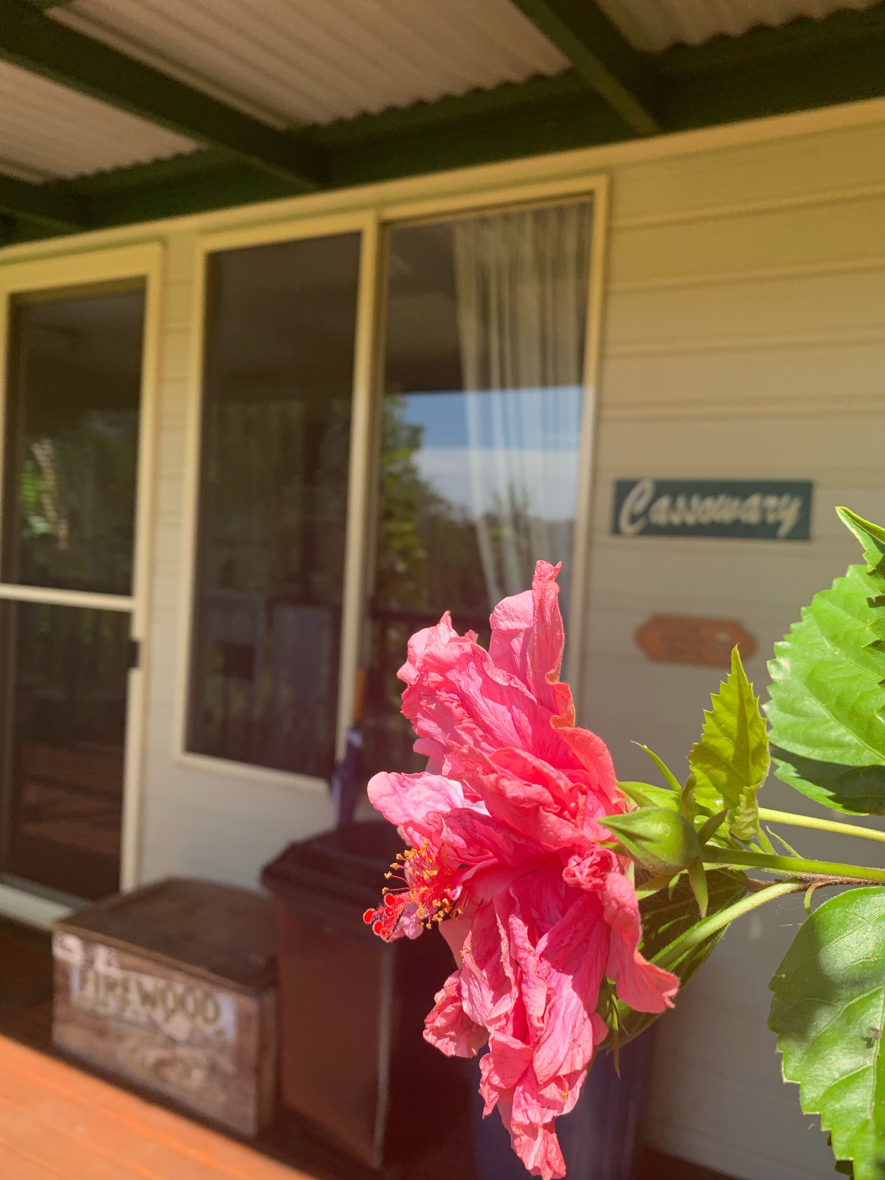 Cassowary Luxury Cottage - Mount Tamborine