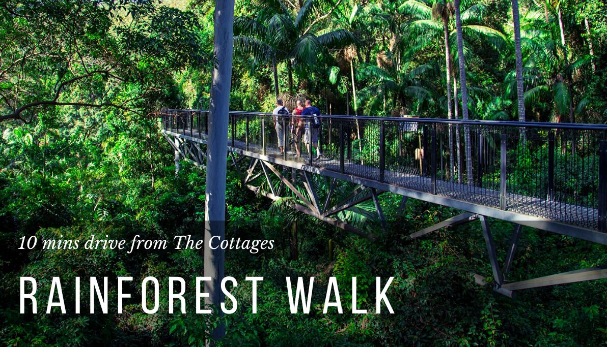 Kookaburra Luxury Cottage - Mount Tamborine