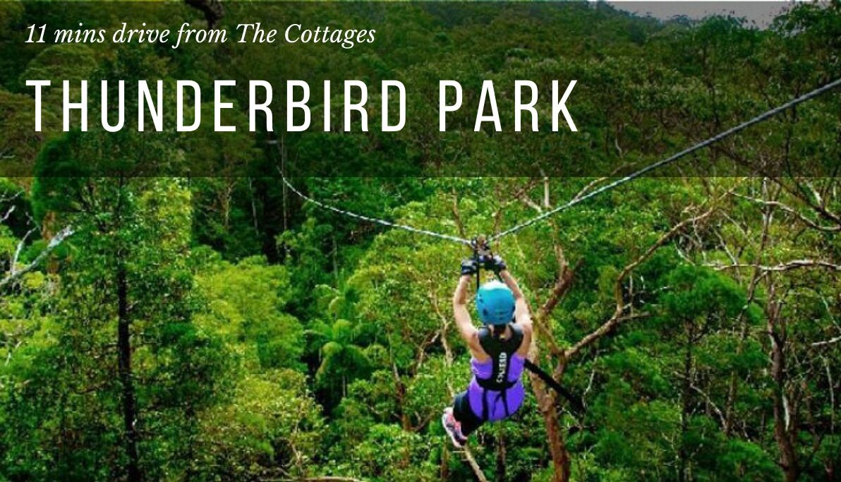 Kookaburra Luxury Cottage - Mount Tamborine