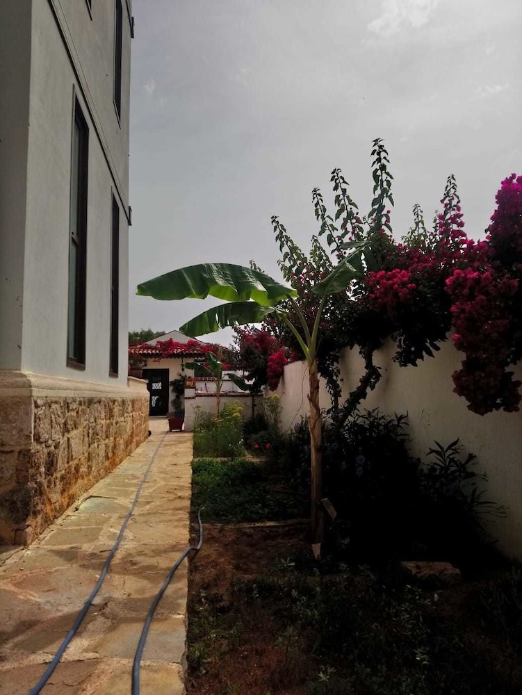 Photo - Villa Hania - Adults only