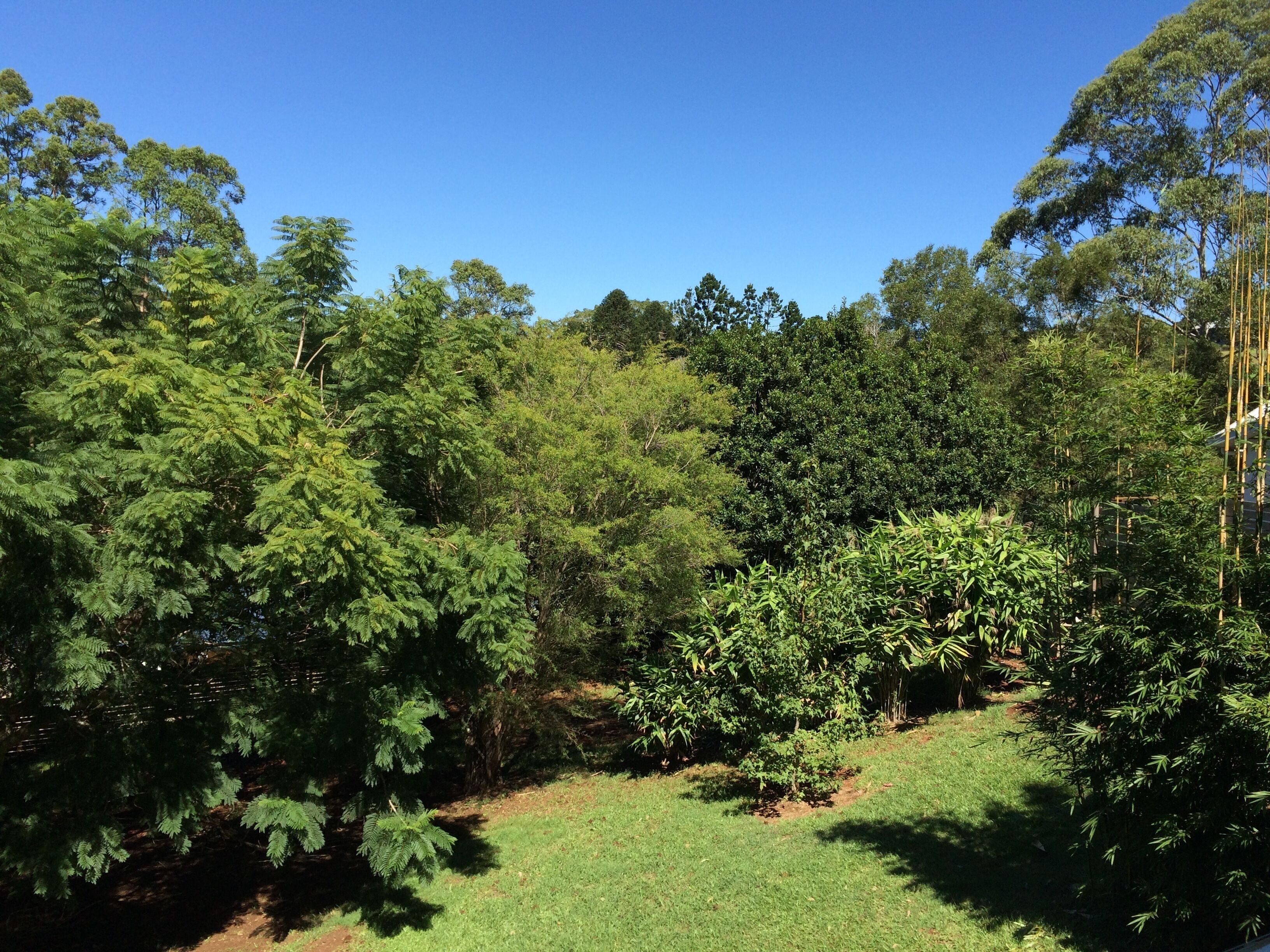 Serenity Cottage - Relax in Natural Surrounds