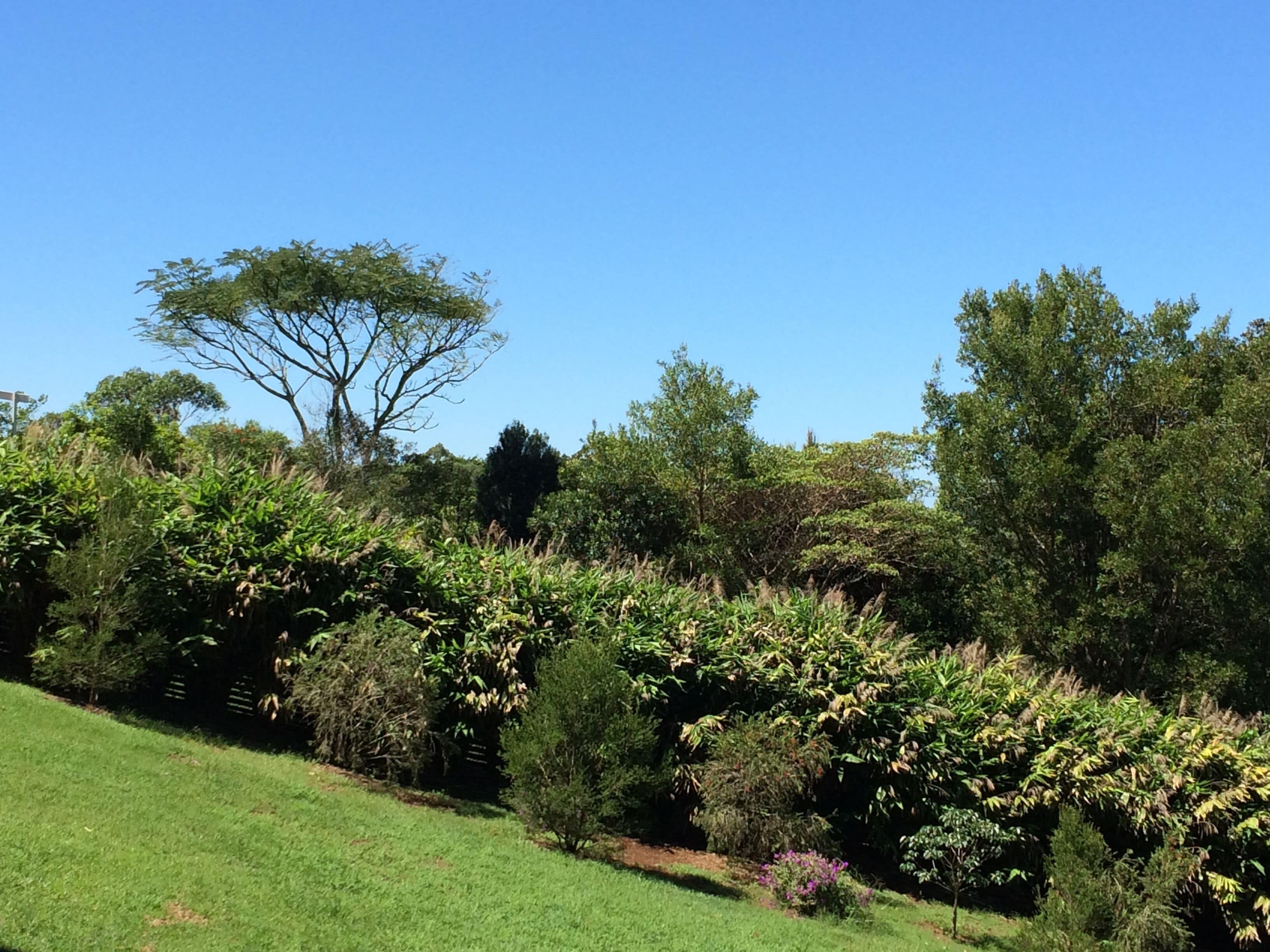 Serenity Cottage - Relax in Natural Surrounds