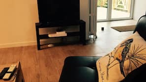 Flat-screen TV