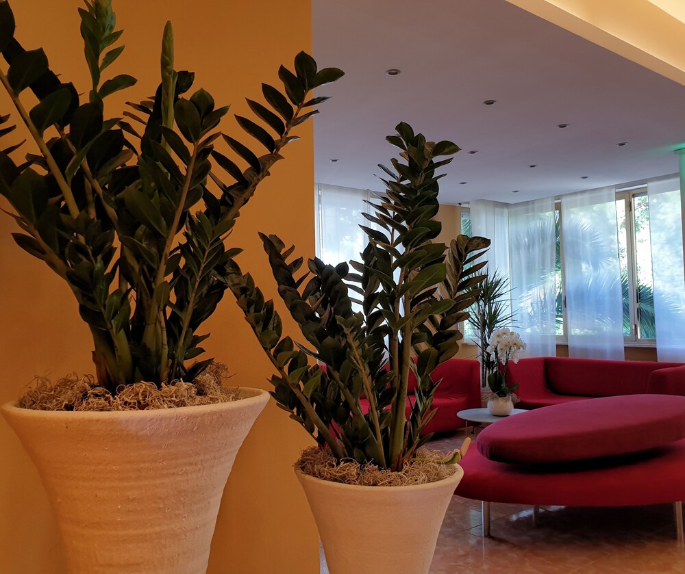 Hotel Sorriso Numana Italia Expediait