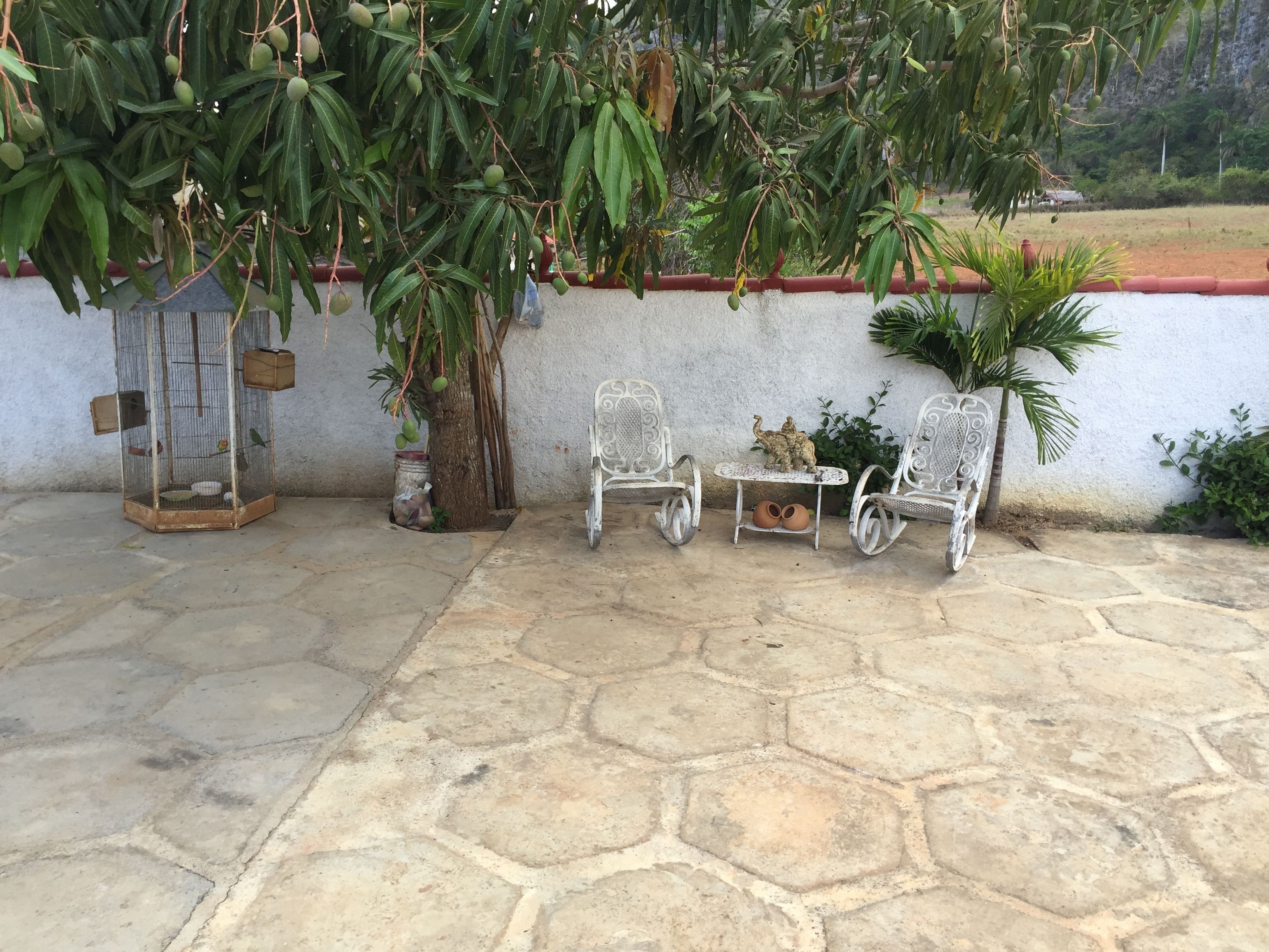 Casa Las Palmas Los Habaneros in Vinales in Vinales, Cuba