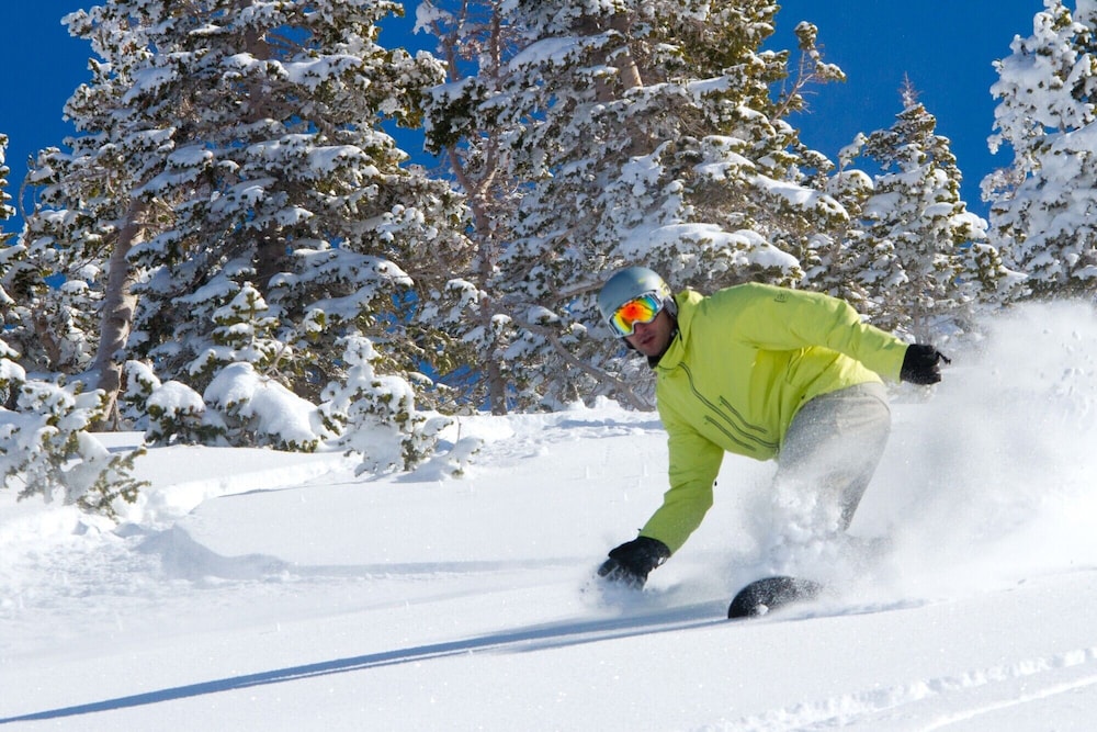 Luxury Executive Duplex Main Level * Huge Master * Large Kitchen * Fireplace