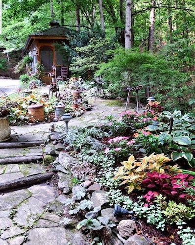 Lone Star Cabin Suite in Forest City, United States