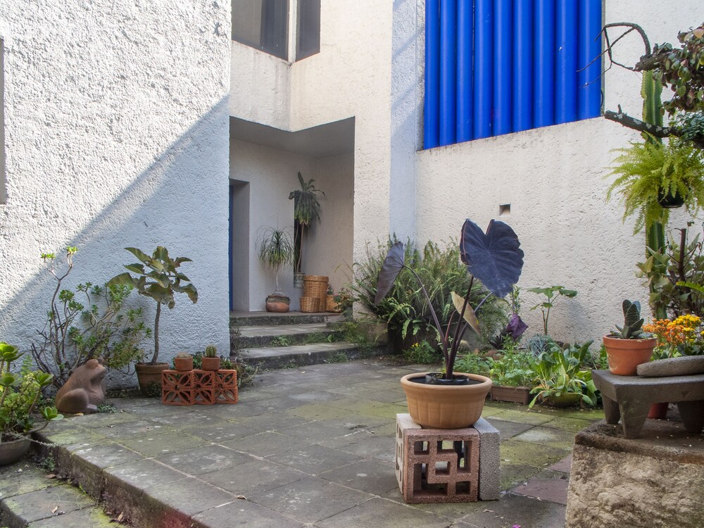 Casa Inn Df Picture Of Laila Hotels Mexico City Tripadvisor