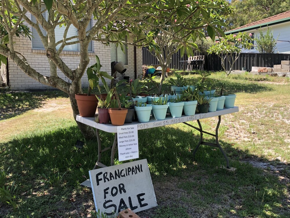 Frangipani House