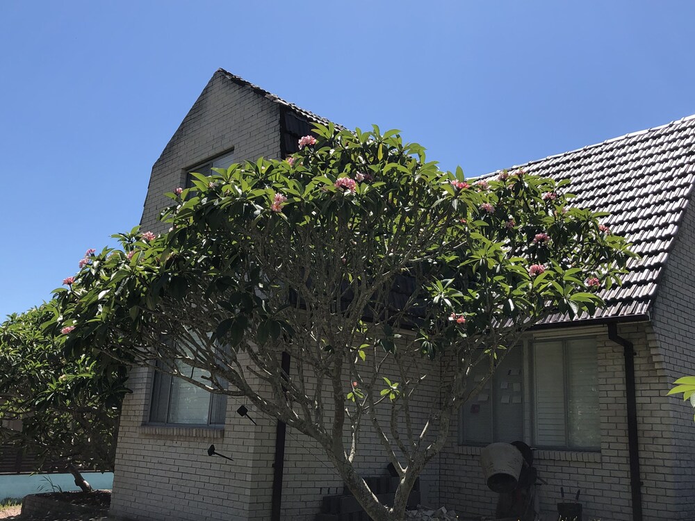 Frangipani House