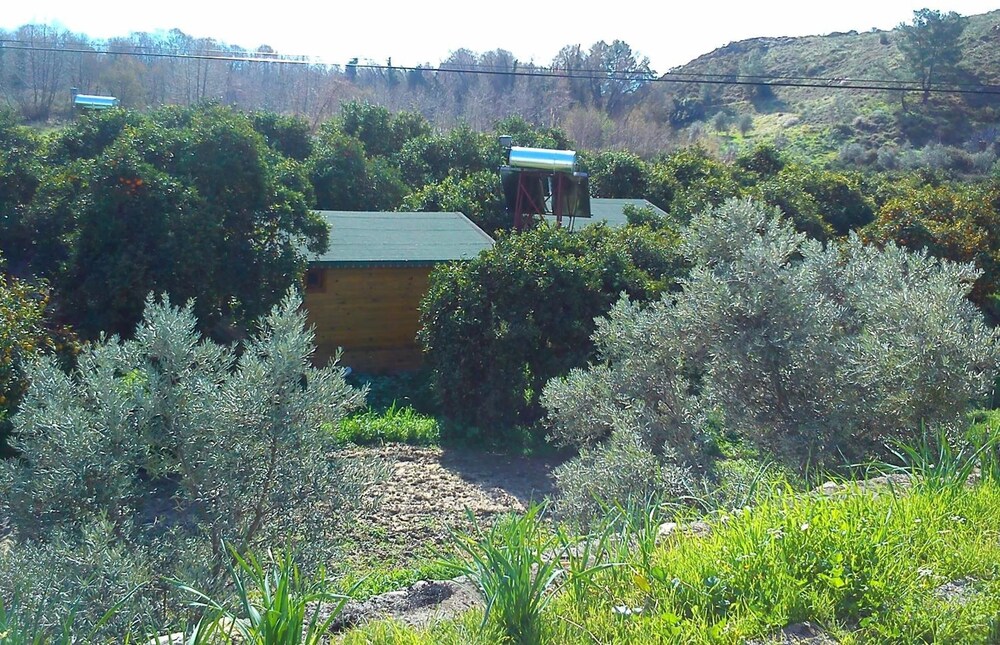 Yeşil Bahçe Bungalow - Ahşap Evler