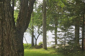 Limekiln Lake Beautiful Lake View Adirondack Cabin For Rent