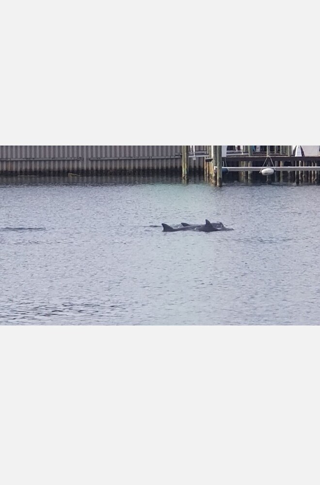 Private dock! Get the Boat and BOOK NOW ! The weather is great! Great location<br><br>