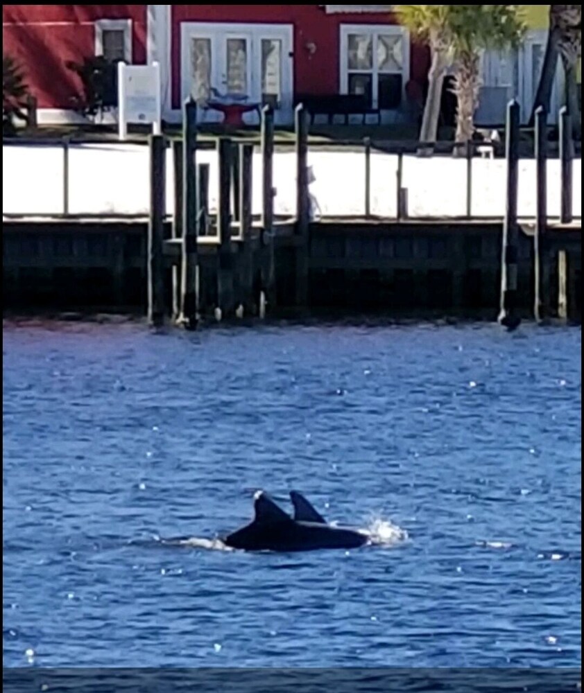 Private dock! Get the Boat and BOOK NOW ! The weather is great! Great location<br><br>