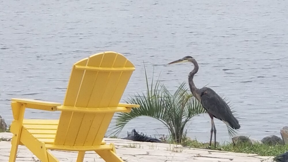 Private dock! Get the Boat and BOOK NOW ! The weather is great! Great location<br><br>