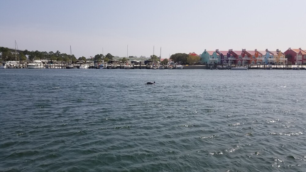 Private dock! Get the Boat and BOOK NOW ! The weather is great! Great location<br><br>