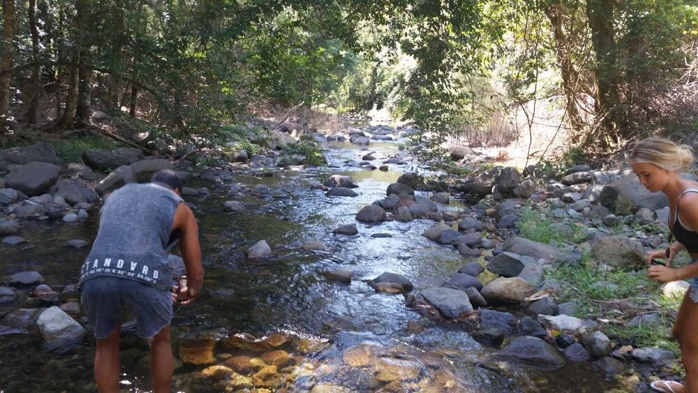 Nirvana Spiritual Retreat