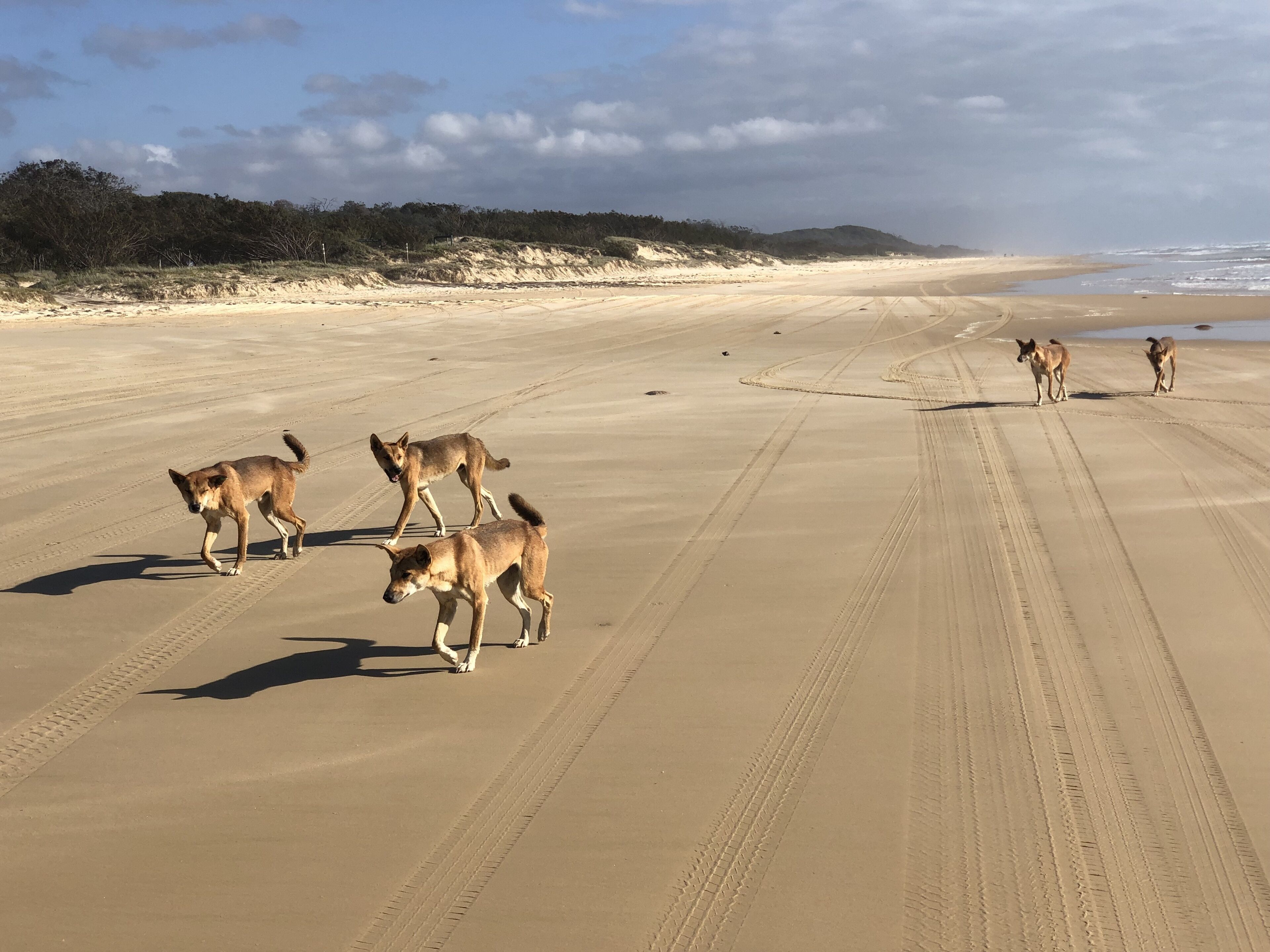 Relax and unwind at Pacific Blue Orchid Beach Holiday Rental