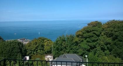 Verity and Ilfracombe Harbour View
