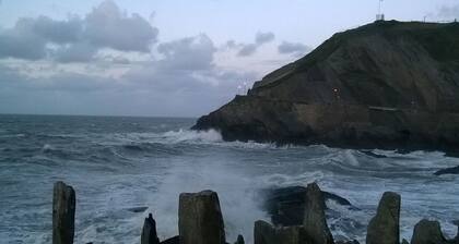 Hollies and Ilfracombe Harbour View