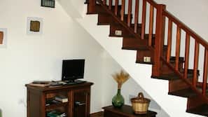 Flat-screen TV