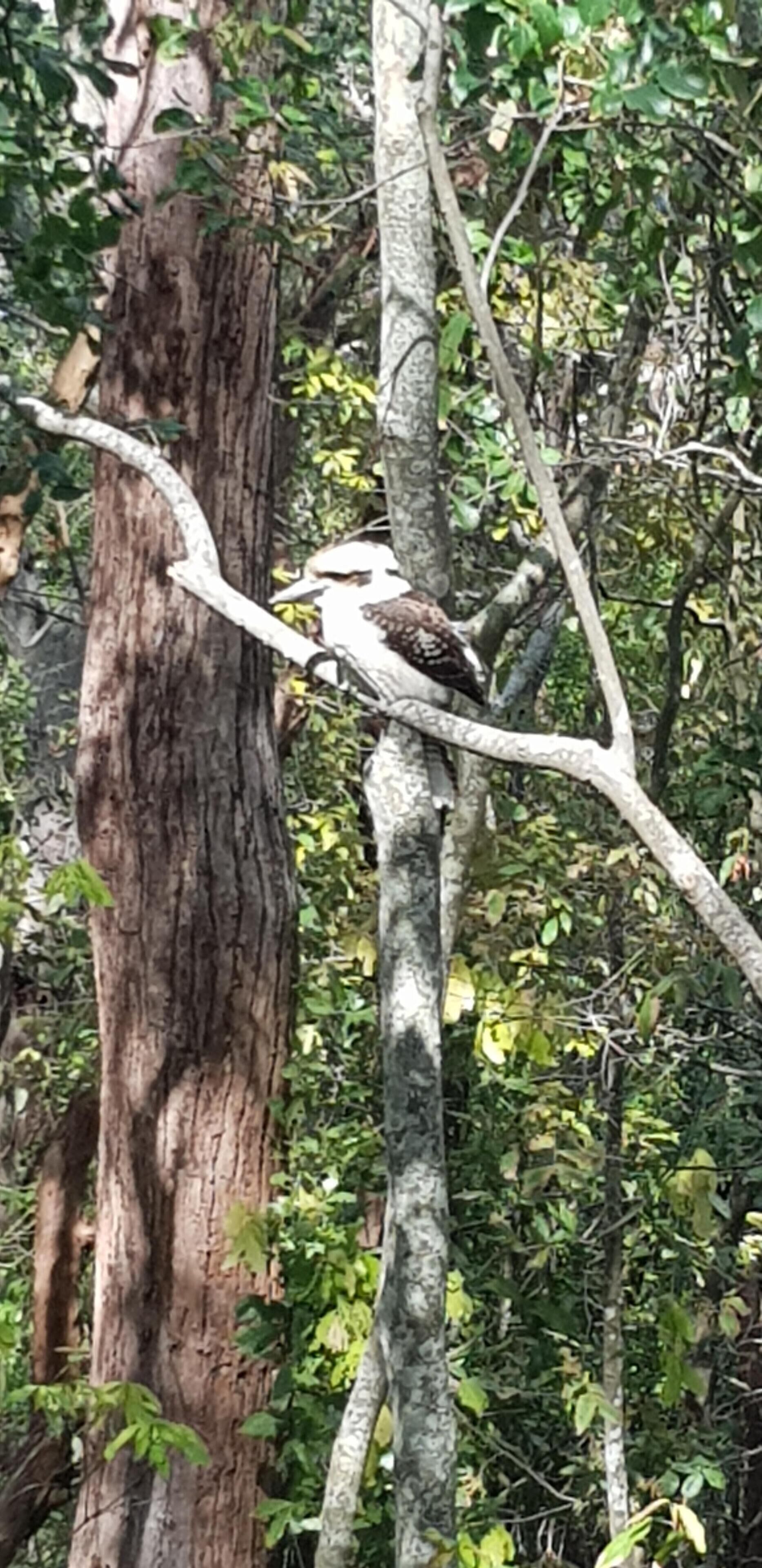 Private Access to the Beach, Ocean Views & Outdoor Spa - Central Location