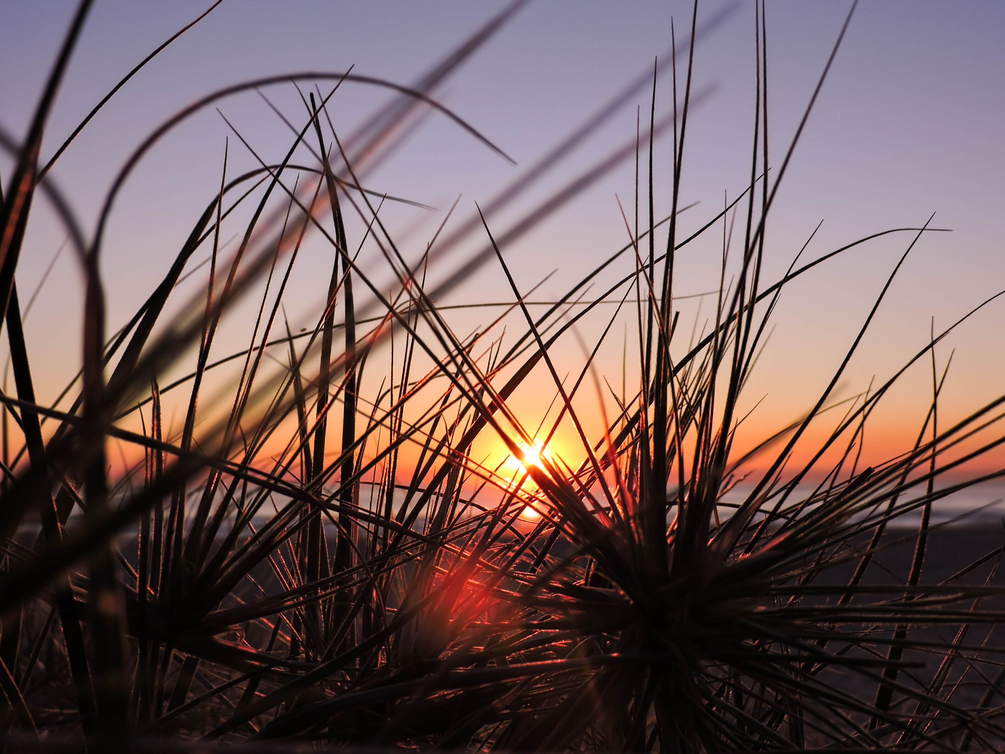 Private Access to the Beach, Ocean Views & Outdoor Spa - Central Location