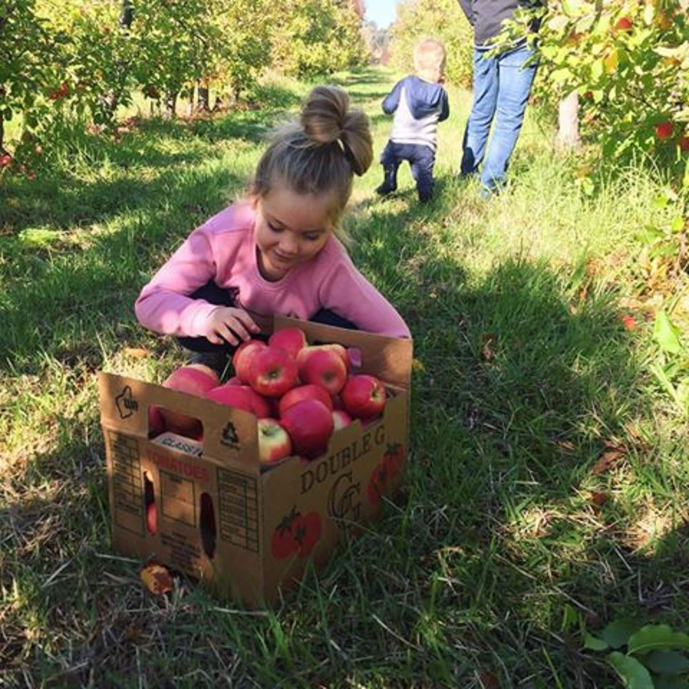 Friendly farm animals, beautiful cottage, amazing views. Settlers Rest Farmstay