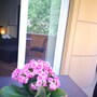 In Rome B&B