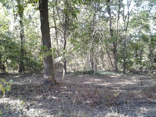 Visit Daingerfield State Park In Hughes Springs Expedia