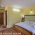Hotel Neha Palace