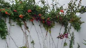 Terrasse/veranda