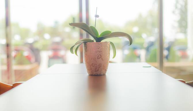 2021 限時飯店優惠 熱海澎湖灣民宿 Atami Penghuwan 馬公 Expedia Com Tw