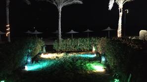 Terras