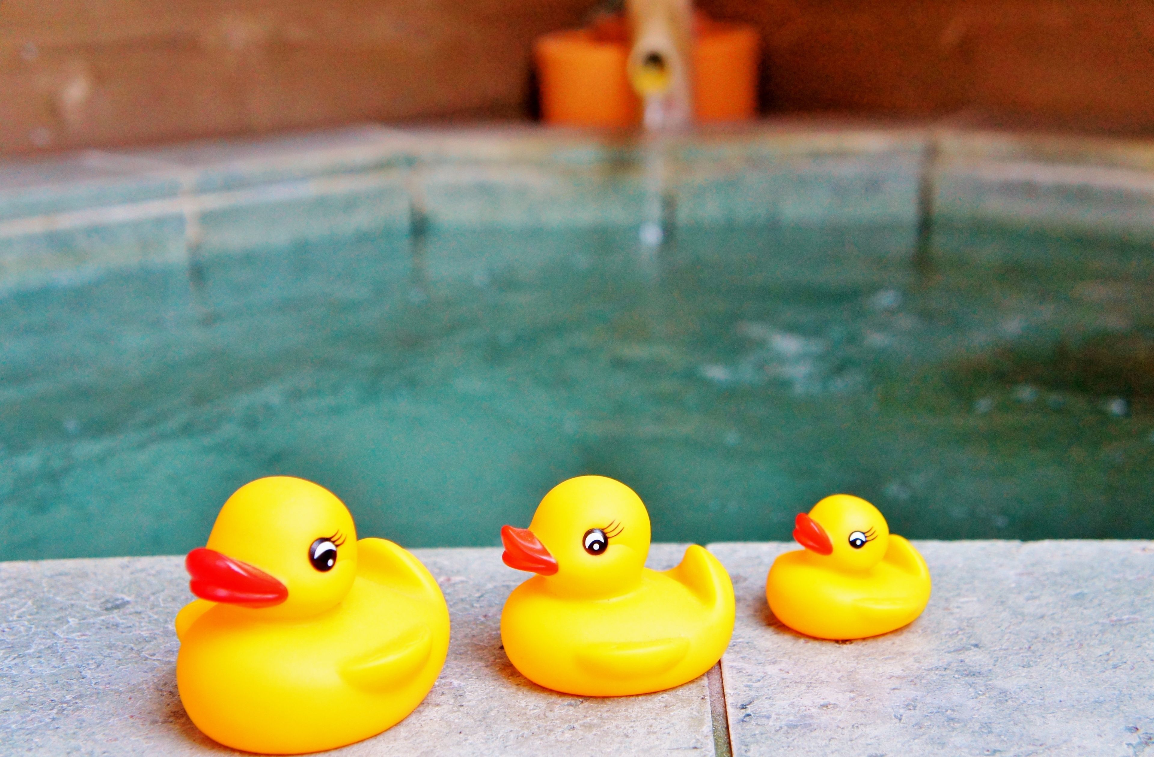 アロマティック ガーデンヴィラ ラ ポルトローナ 那須 口コミ 宿泊料金 写真 22 エクスペディア