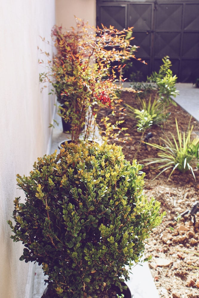 Foto - Hotel Stela Center