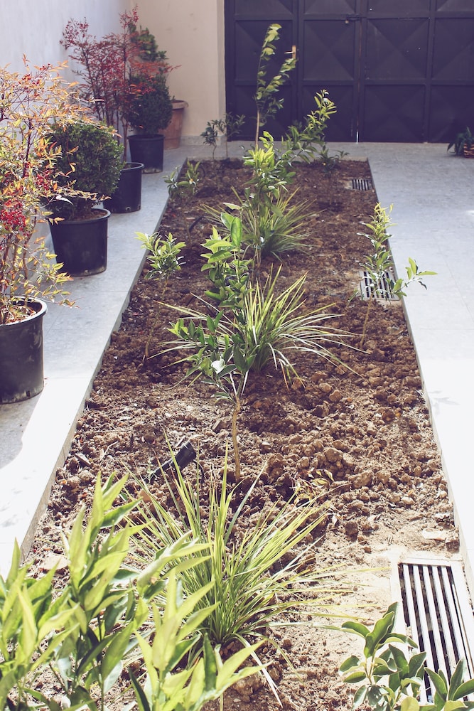 Foto - Hotel Stela Center