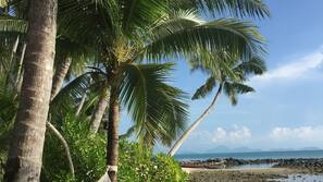 Bãi biển