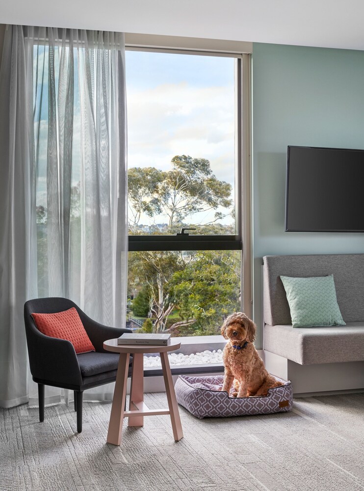 Pet-friendly, Element Melbourne Richmond