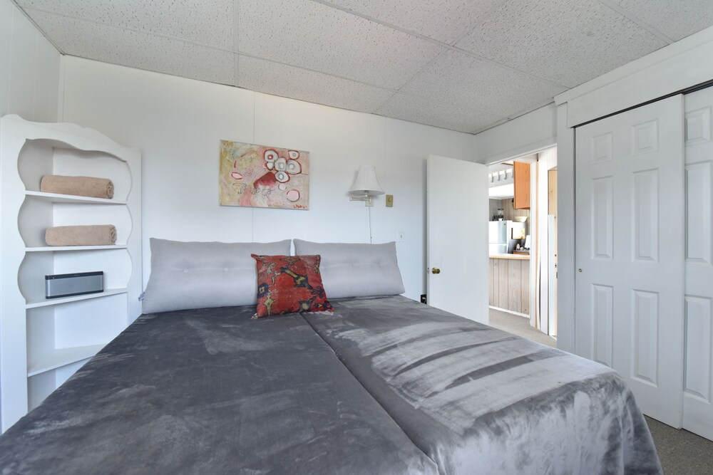 BEACHFRONT RENTAL An artist's house on a dune in a wildlife sanctuary