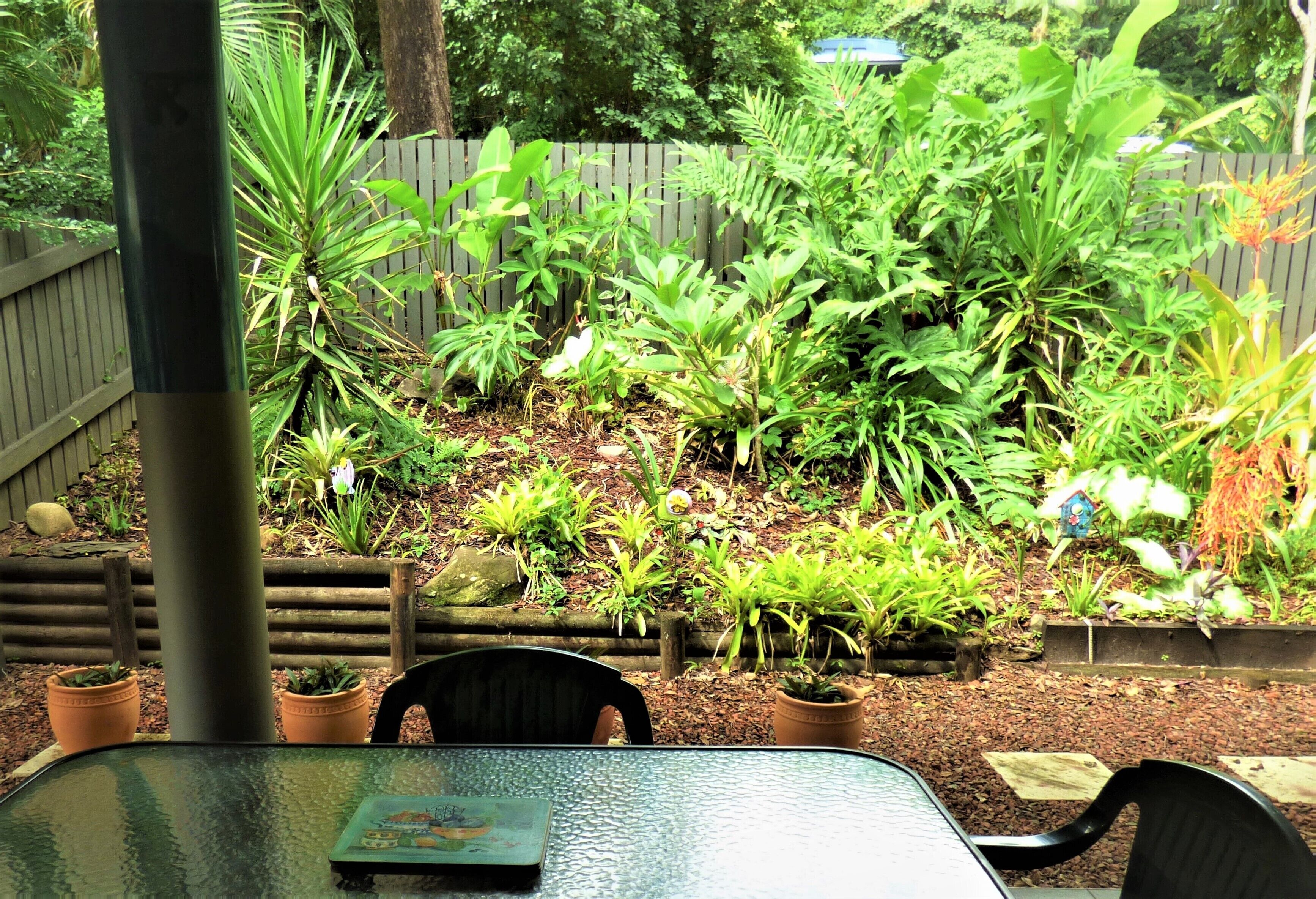 Cairns Rainforest Cottage Tropic Hideaway Pets OK 10mins to City, Free Wifi
