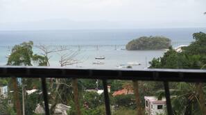 Vistas desde la habitación