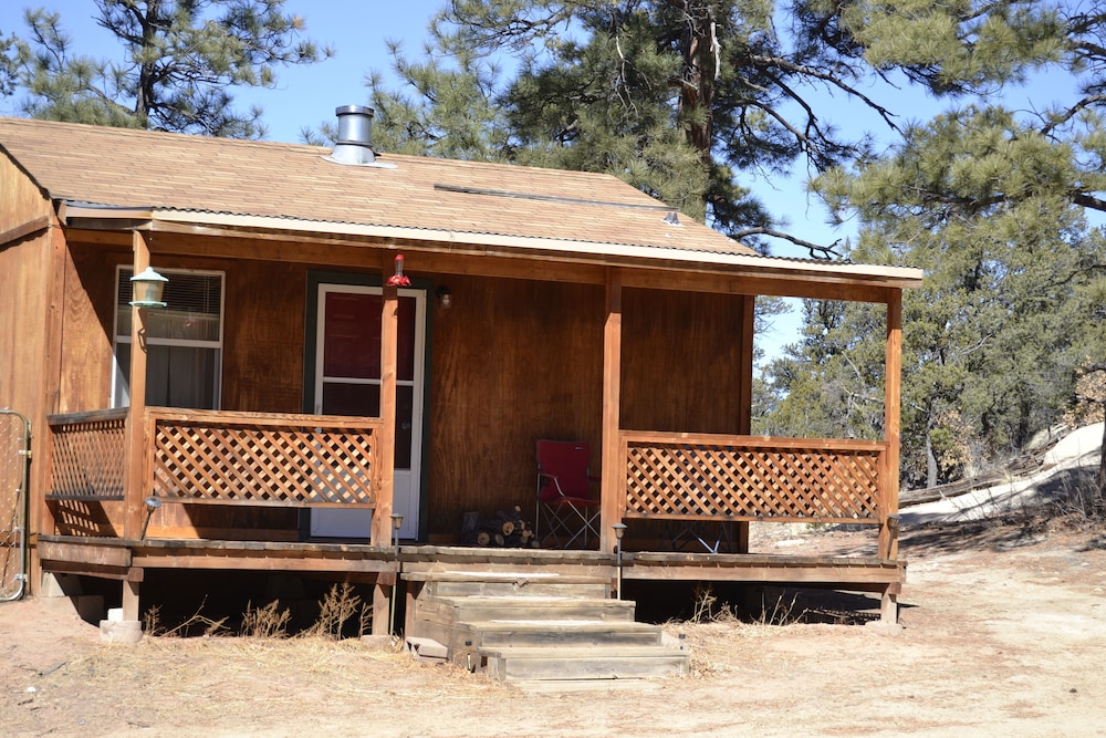 Cabin in the Woods: A Wilderness Experience in Grants, United States