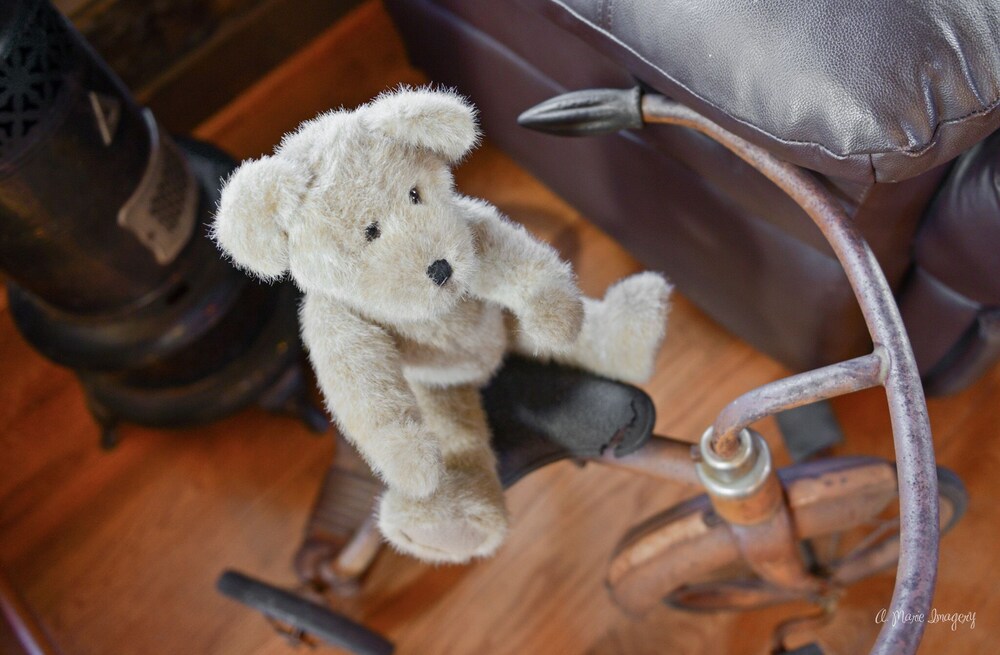 Vintage Cabin in the of Middletown , MD. Pet Friendly and Prime