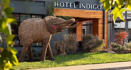 Hotel Indigo Chattanooga - Downtown, an IHG Hotel